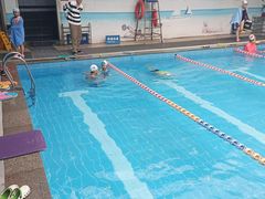 -奇缘游泳培训基地(辰茂店)