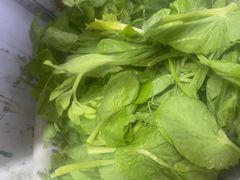 -金鼎雪山牦牛杂火锅(理县总店)