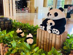 -成都保利公园皇冠假日酒店(熊猫基地店)
