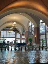 -帝元维多利亚大酒店·宴会厅