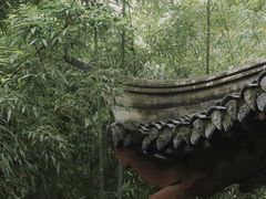 -水绘园