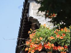 -老门东历史文化街区