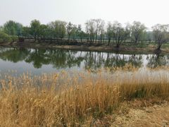 -蓝地时尚庄园(北京清河营地铁站店)