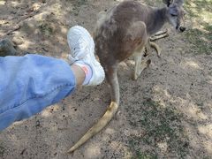 -泉州海丝野生动物世界