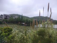 -黔灵山公园