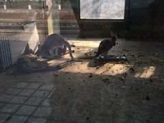 -北京动物园