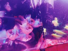 -华声天桥民俗文化园