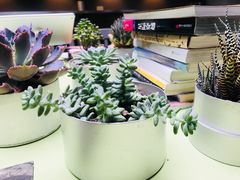 -壹小馆.皇城老妈(成都太古里店)