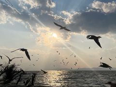 -河南省体育场馆中心游泳馆