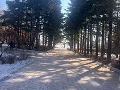 -长春市南湖公园