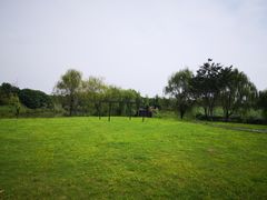 -南湖湿地公园