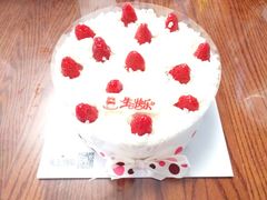 -维尔纳斯·生日蛋糕动物奶油冰淇淋蛋糕(人大店)