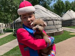 -九十九顶毡房(阜石路店)