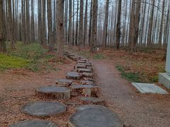 -黄海国家森林公园