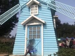 -铁山坪森林公园