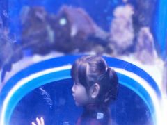 -芜湖新华联大白鲸海洋公园