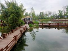 -成飞公园