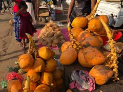 -尼甘布海鲜市场