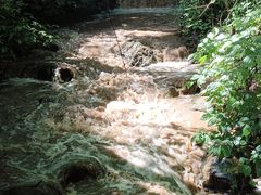 -莫里热带雨林景区