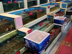 水产区-旺富东海大酒楼(海鲜街店)
