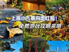 -上海吴淞炮台湾国家湿地公园