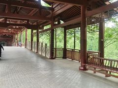 -重庆彩云湖湿地公园