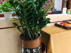 -通透堂中医·精准推拿(旗舰店)