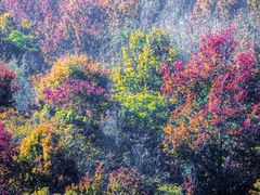 -岳麓山风景名胜区
