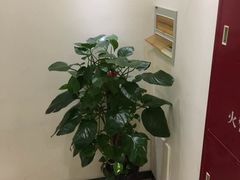 -美酷口腔牙齿矫正(江桥万达店)