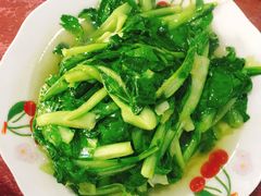 -青浦采草莓天天草莓园
