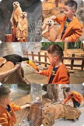 -Zoolung Zoolung动物主题公园(海信广场店)
