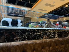 -红辣椒·川菜·火锅(大洋中心店)
