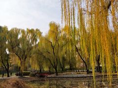 -玲珑塔公园