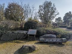 -东平国家森林公园