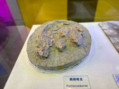 -吉林省自然博物馆
