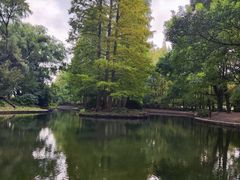 -上海滨江森林公园