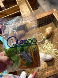 -酷嗒动物文化乐园(cutezoo西溪乐天城店)