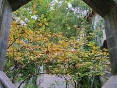 -惠山古镇·寄畅园