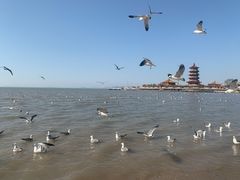 -蓬莱阁景区