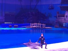 -华夏文旅海洋公园