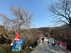 -佛慧山