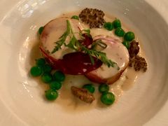 -蝶舍·MAISON PAPILLON