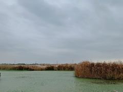 -宁波杭州湾国家湿地公园