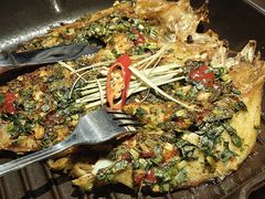 -雀舞云南菜(天津天河城购物中心店)