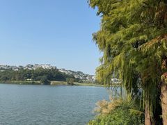 -白云湖畔酒店-湖畔餐厅