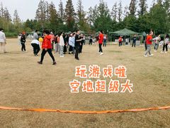 -上海长兴岛郊野公园