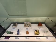 -国家自然博物馆