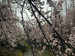 -洛阳市隋唐城遗址植物园