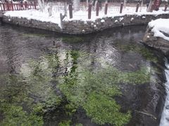 -水磨沟公园