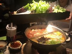 -湊湊火锅·茶憩(新中关购物中心店)
